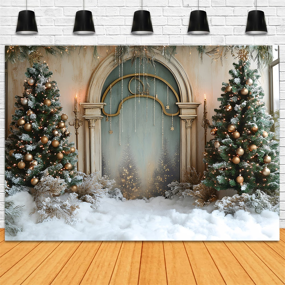 Toile de fond Sol couvert de neige et mur classique de Noël RR9-66