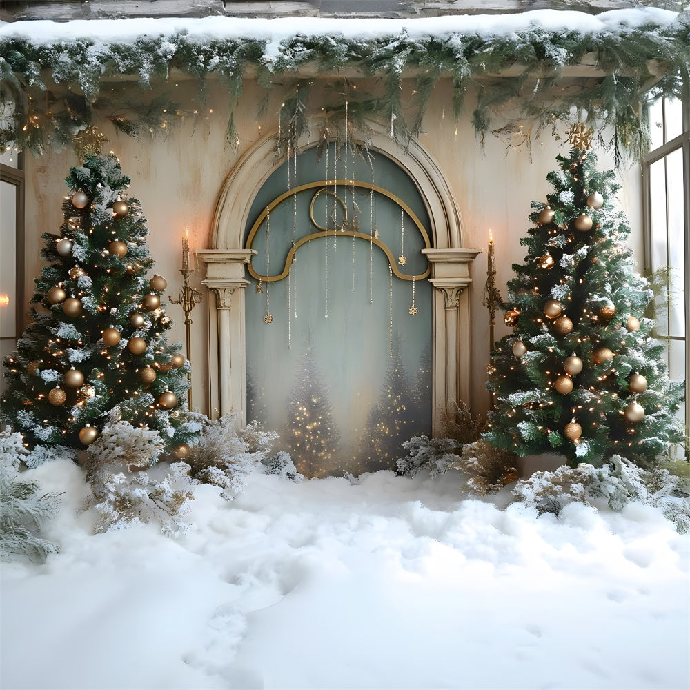 Toile de fond Sol couvert de neige et mur classique de Noël RR9-66