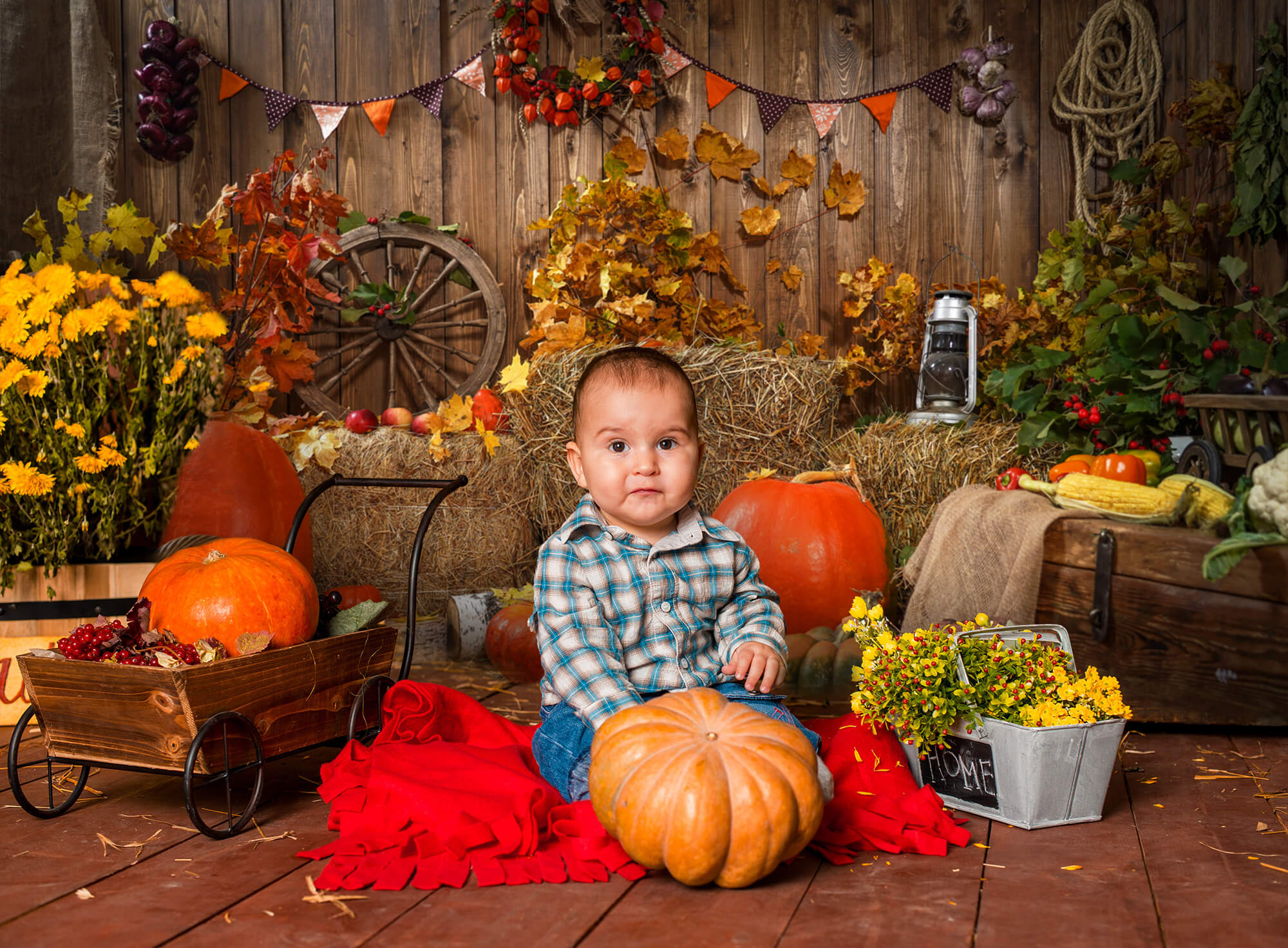 Fond de Photographie de Citrouilles de Foin D'Automne SH-1008