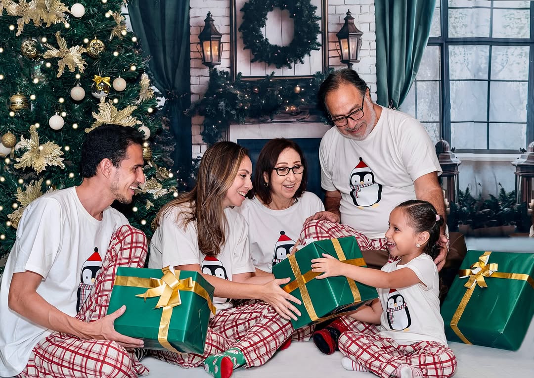 Toile de fond Fenêtre Cheminée Sapins de Noël RR8-120