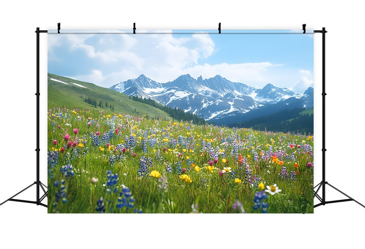 Fond Photo Printemps Prairie de Fleurs Sauvages Vue Montagne TWW2-32