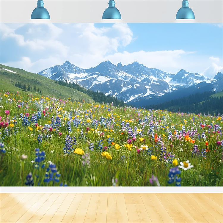 Fond Photo Printemps Prairie de Fleurs Sauvages Vue Montagne TWW2-32