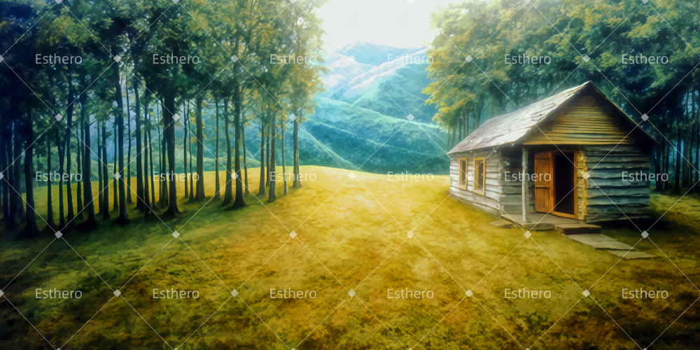 Fond de Scene Photo Scène Musicale Sur Scène TWW511-T57