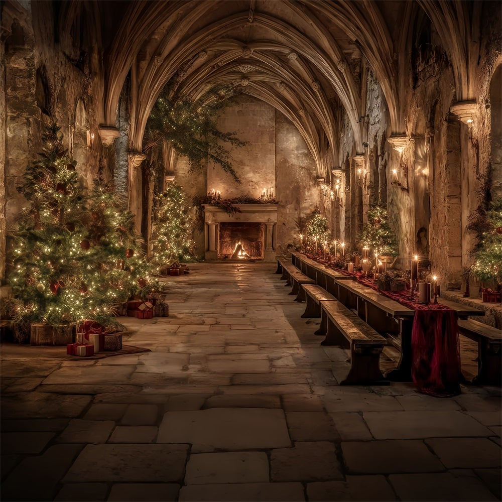 Toile de fond Noël Église Salle Médiévale Banquet de Noël TWW59-112