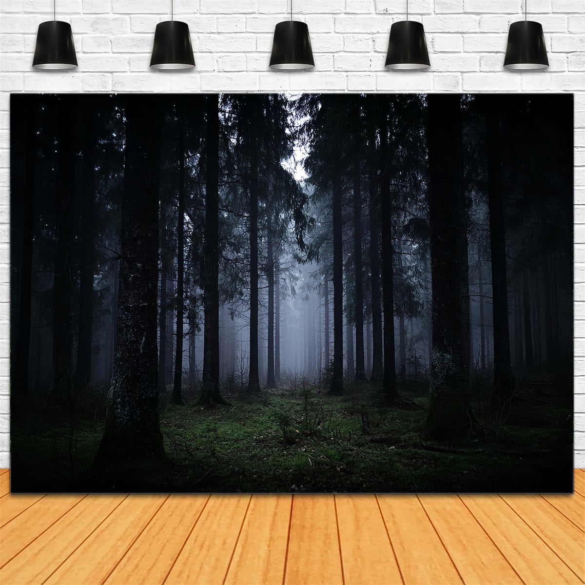 Toile de fond Forêt Sombre Brumeuse Pins Obscurs Forêt Noire TWW59-132