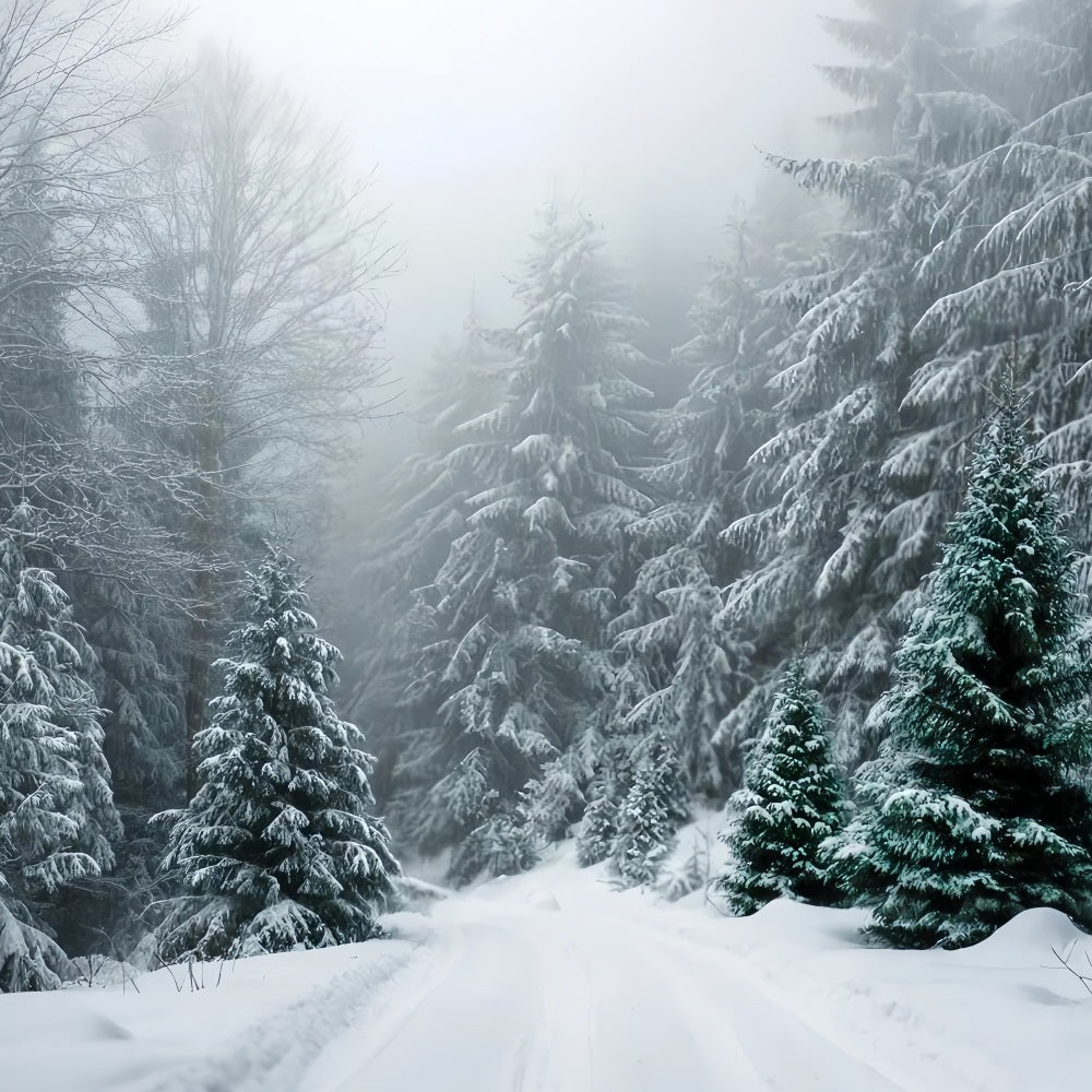 Toile de fond Forêt Hivernale Sapins Givrés Silence Neige TWW59-134