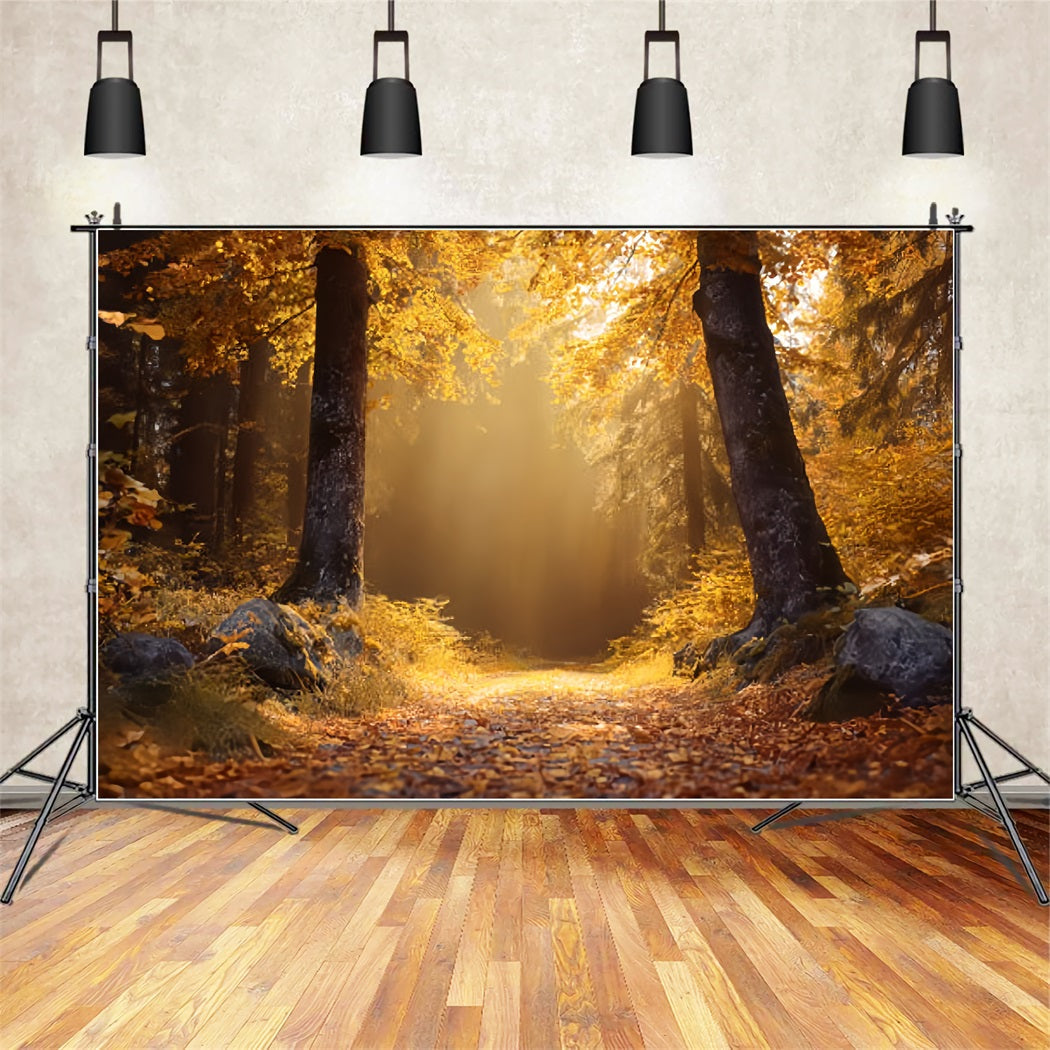 Toile de fond Forêt Automnale Dorée Sentier Ensoleillé TWW59-138