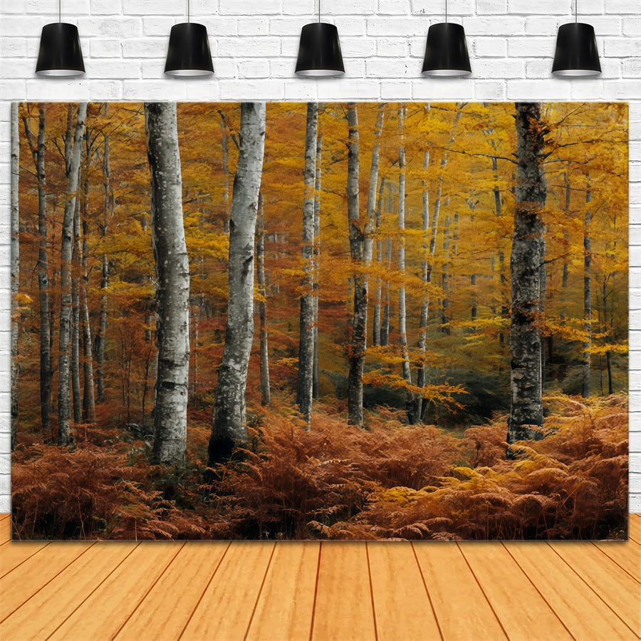 Toile de fond Forêt Automnale Dorée Bouleaux Scène Forêtière TWW59-149