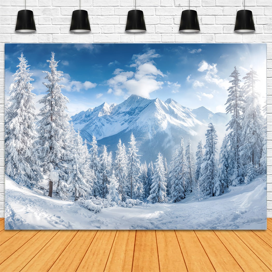 Toile de fond Forêt Enneigée Montagnes Hivernales Vallée Pins TWW59-153
