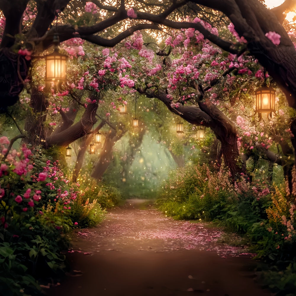 Toile de fond Forêt Nocturne Sentier Fleurs Lanternes Épanouies Photo TWW59-155