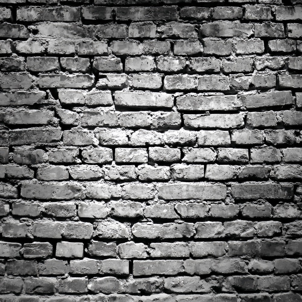 Toile de fond Mur Brique Noir Motif Grunge Noir et Blanc TWW59-178