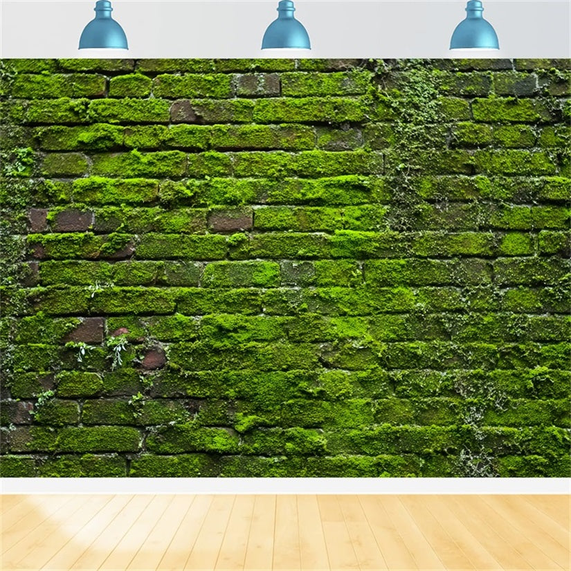 Toile de fond Mur Brique Vert Mousse Vintage TWW59-185