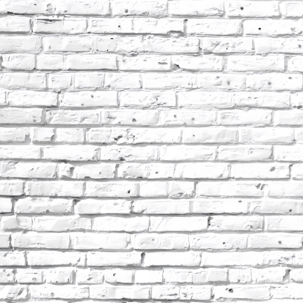 Toile de fond Mur Brique Blanc Délavé Texture Usée TWW59-188