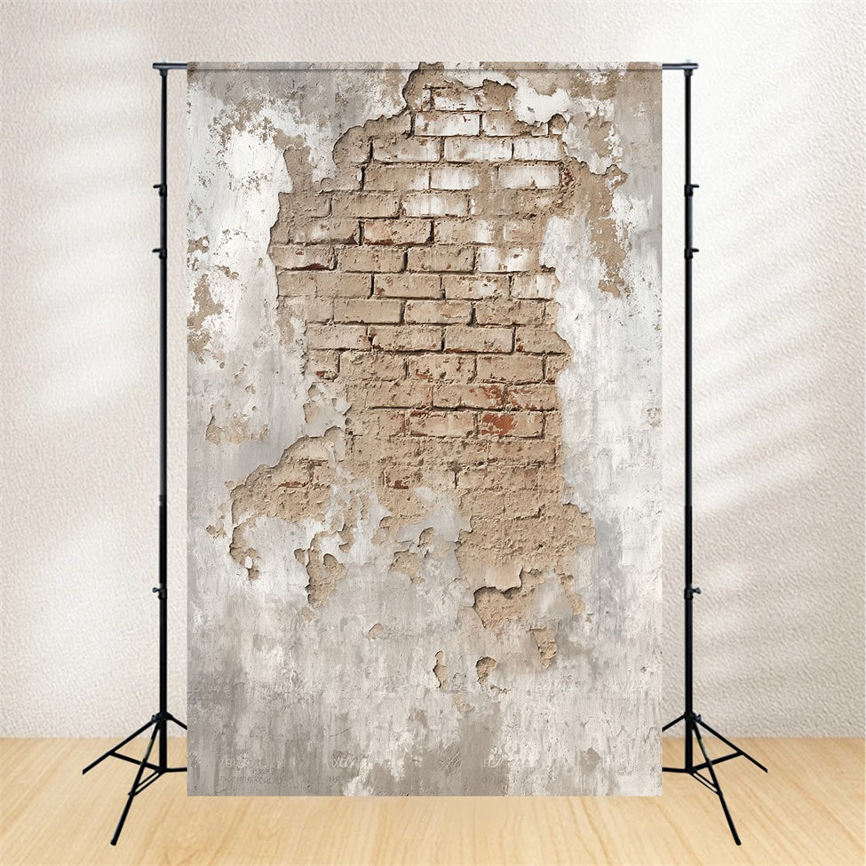 Toile de fond Mur Brique Plâtre Vieilli Maçonnerie Apparente TWW59-191