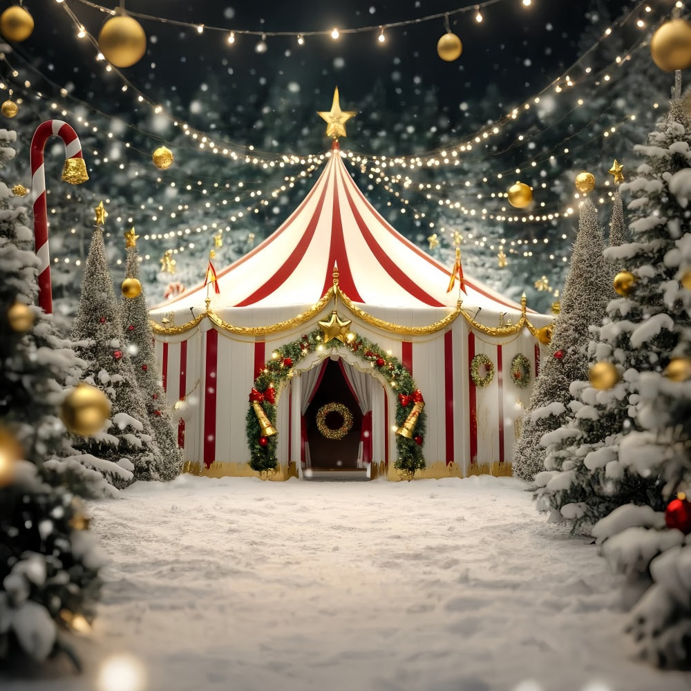 Toile de fond Cirque Noël Chapiteau Étoile Dorée Festive TWW59-32