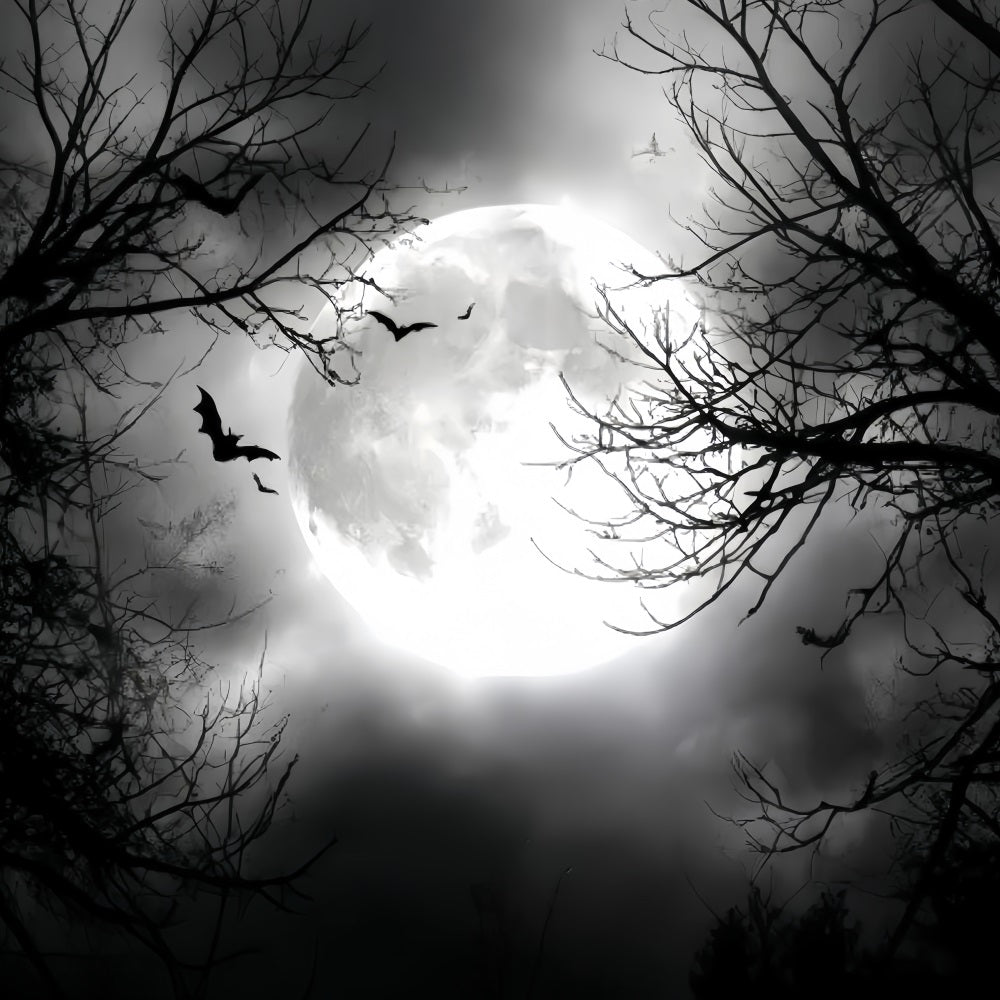 Fond Studio Halloween Pleine Lune Chauves-Souris Volantes TWW59-67