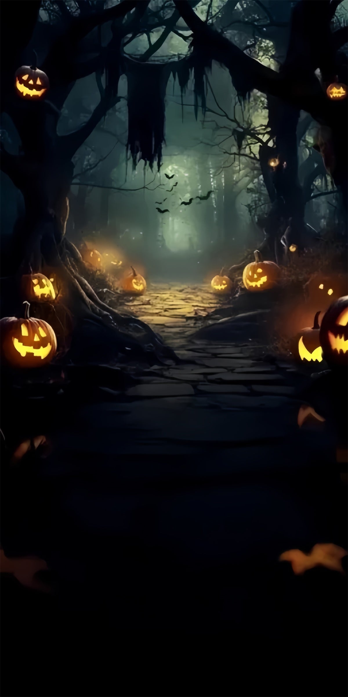 Toile de fond Sweep Halloween Photo Chemin de Citrouilles Minuit TWW6-74