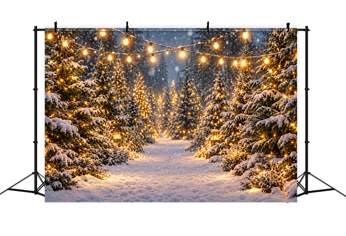 Fond De Noël Ferme Sapins Sentier Forêt Enneigée Lumineuse ZTT610-46