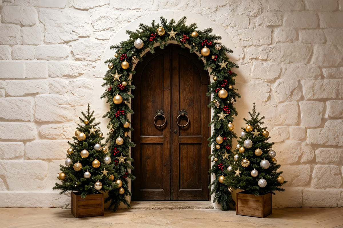 Fond De Noël Simple Entrée De La Guirlande De L'Arche De Pierre Décor Photo De Noël ZTT69-14