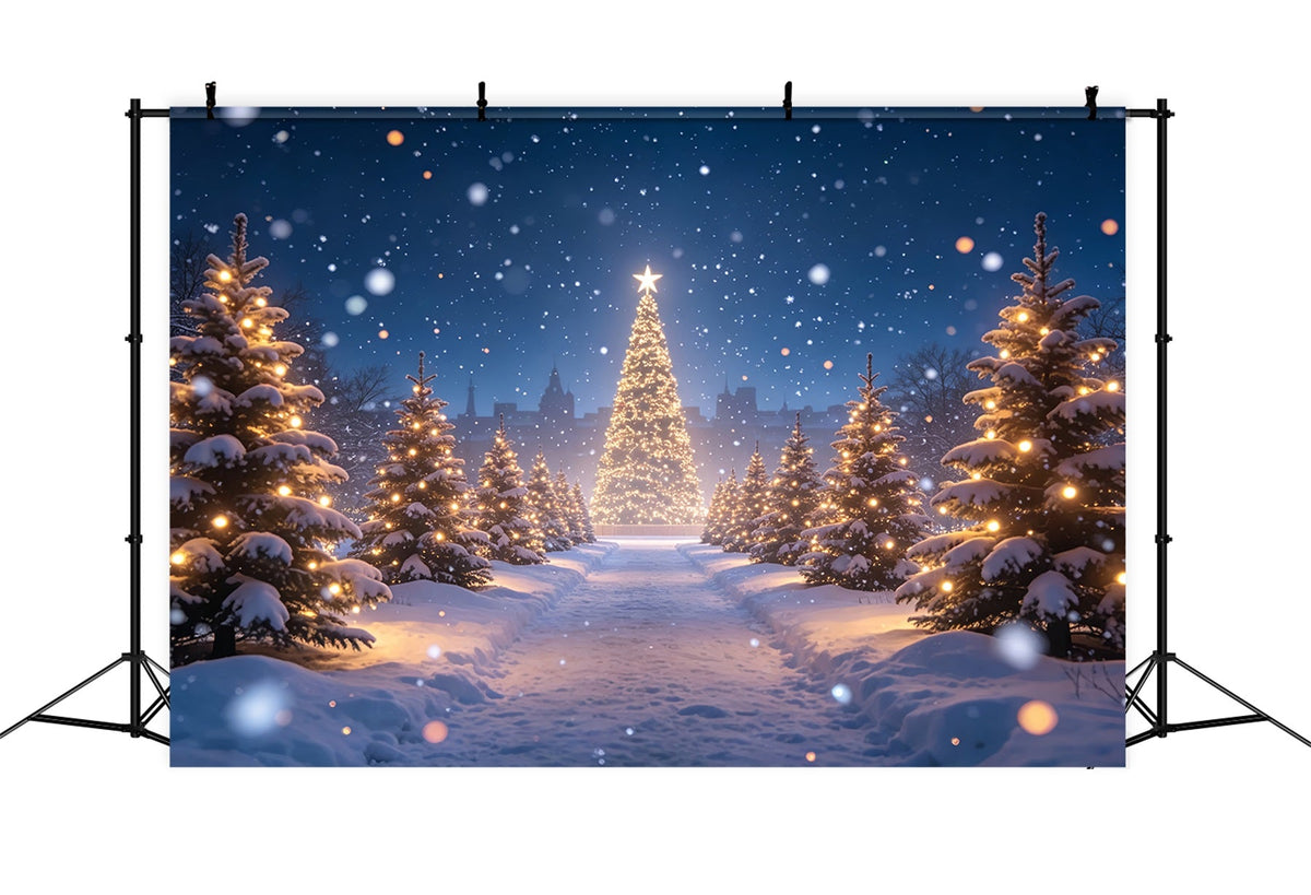 Fond De Sapin De Noël Chemin Lumineux De La Forêt Enneigée Décors Photo De Noël ZTT69-15