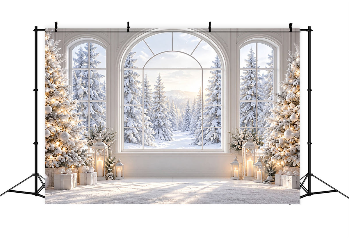 Fond De Fenêtre De Noël Vue Élégante Enneigée ZTT69-76