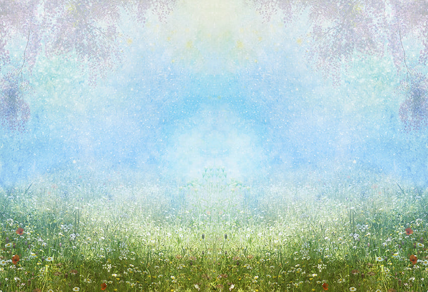 Fleurs Sauvages Champ Printemps Photographie Toile de Fond D1065