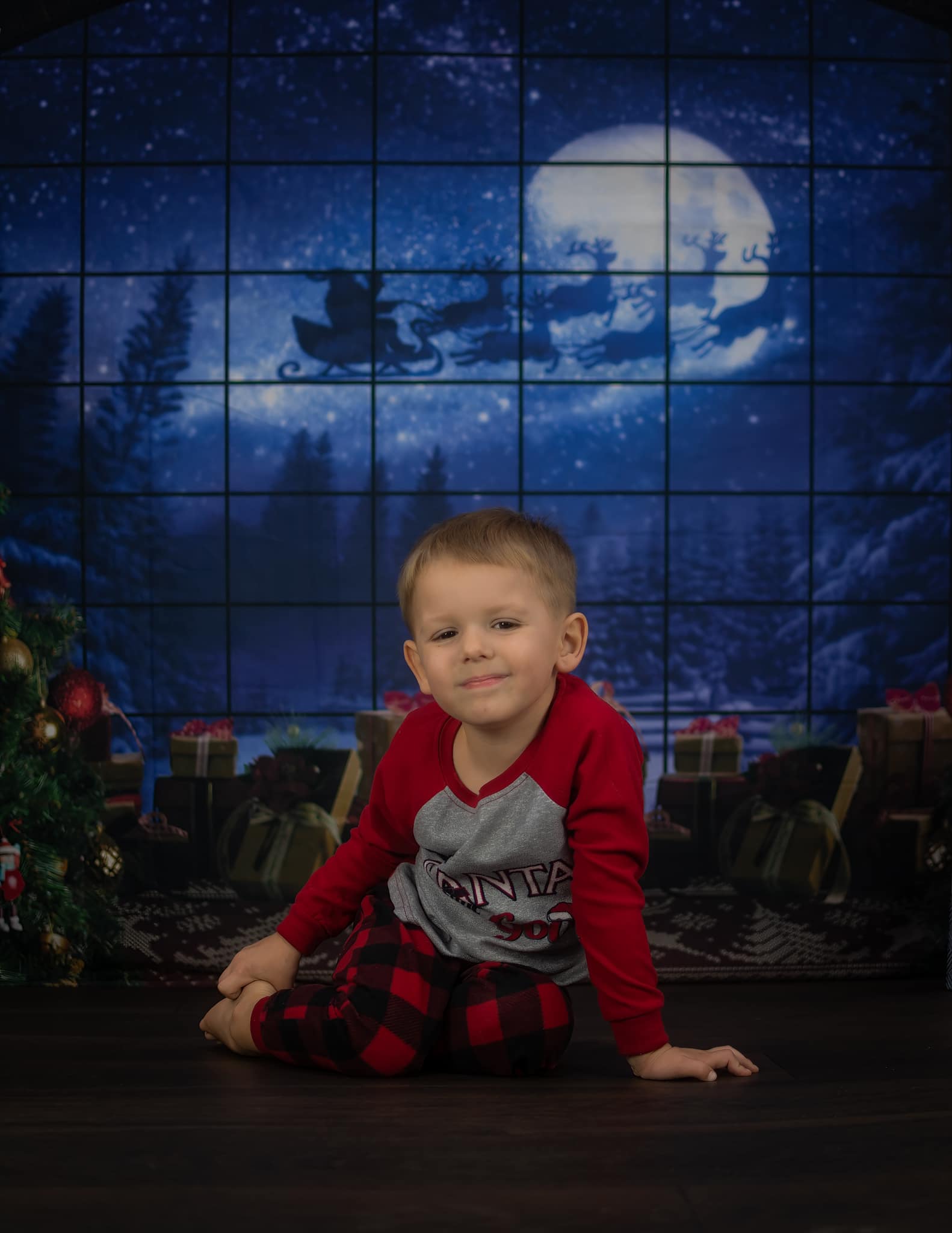 Arbre de Noël Fenêtre Cadeaux Photographie Toile de Fond D822