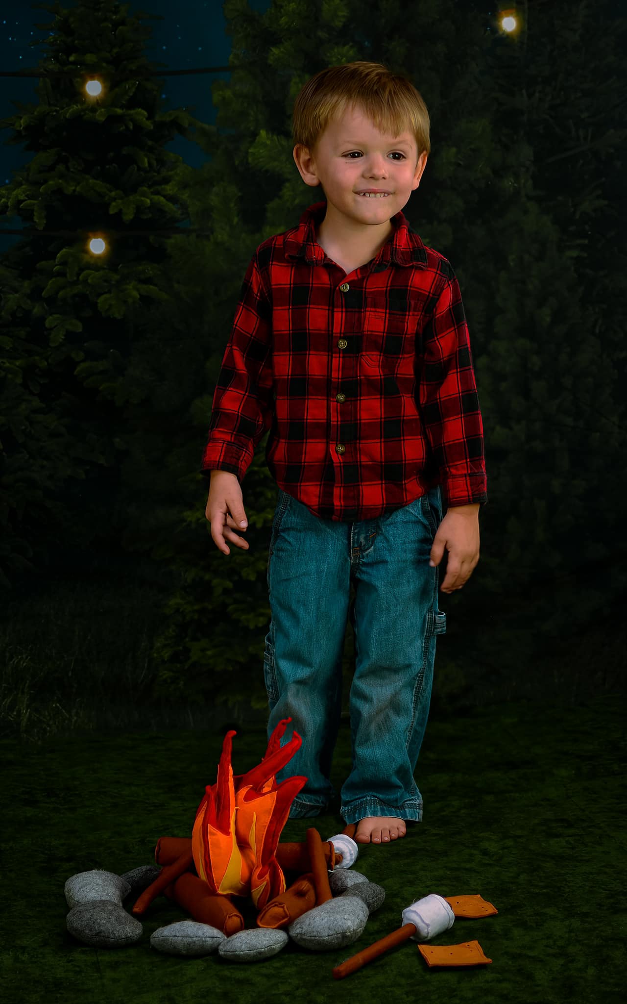 Arbre de Noël Ferme Veille Photo Toile de Fond D832