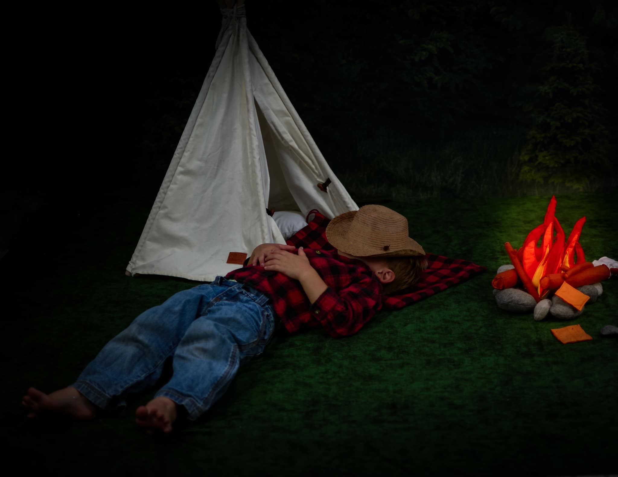 Arbre de Noël Ferme Veille Photo Toile de Fond D832