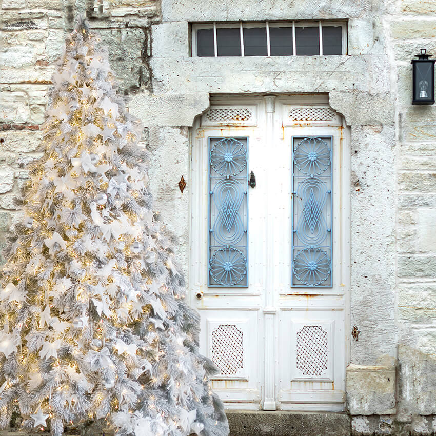 Porte de maison en pierre Toile de fond de sapin de Noël D931