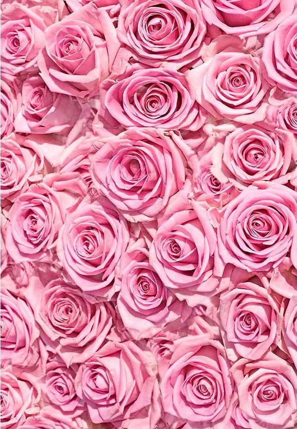 Pink Floral Picture Backdrop for Party Events Decorations F-2382