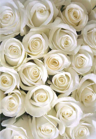 Toile de fond floral blanc pour mariage d'anniversaire F-2387
