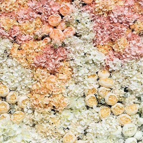 Toile de fond de fleurs jaunes et blanches pour la photo G-183