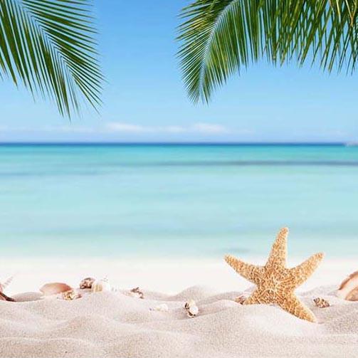 Beach Backdrop Ocean Blue Sky Starfish Summer Backdrop G-228
