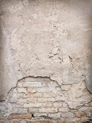 Brick Concrete Weathered Grunge Wall Background Photography Backdrop G-29