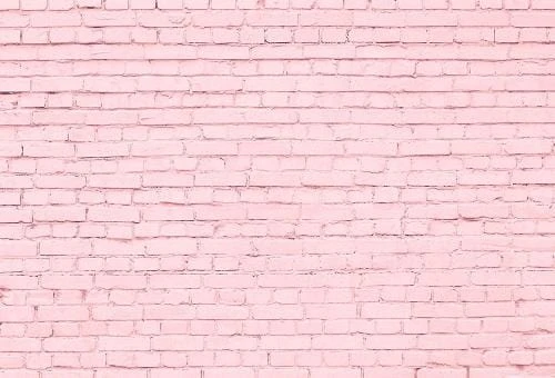 Pink Brick Wall Photography Backdrop G-41
