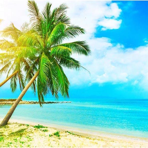 Toile de fond de Plages personnalisée de plages G-500