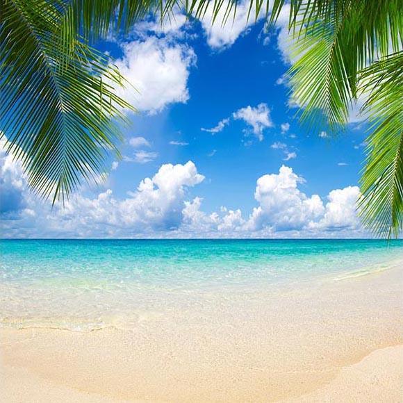 Toile de fond de plages Océan G-505