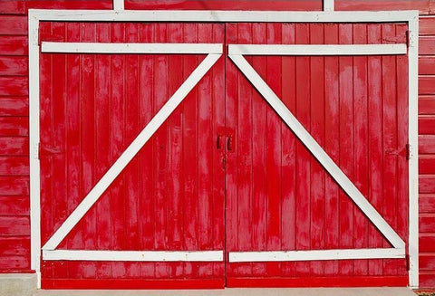 Red Retro Wood Barn Door Backdrop for Photo Booth G-556