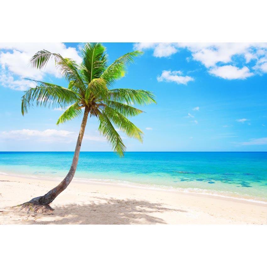 Coconut Tree Beaches Ocean Photo Backdrops G-588