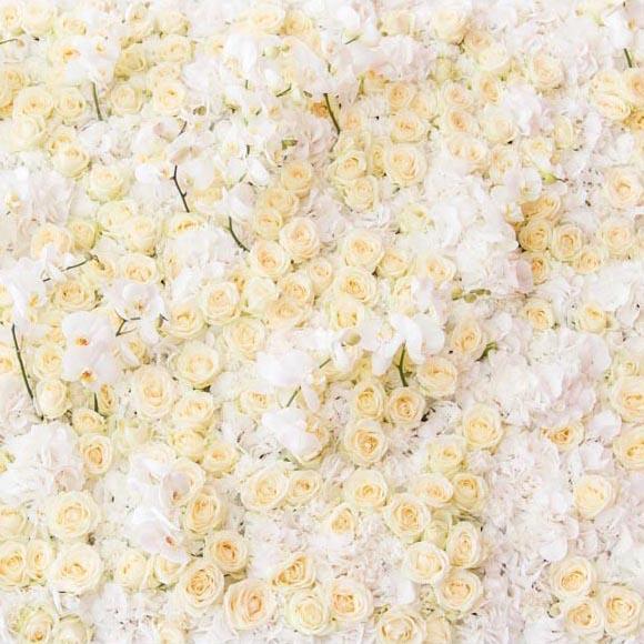 Toile de fond de mur de fleur blanche jaune pour la photographie G-605