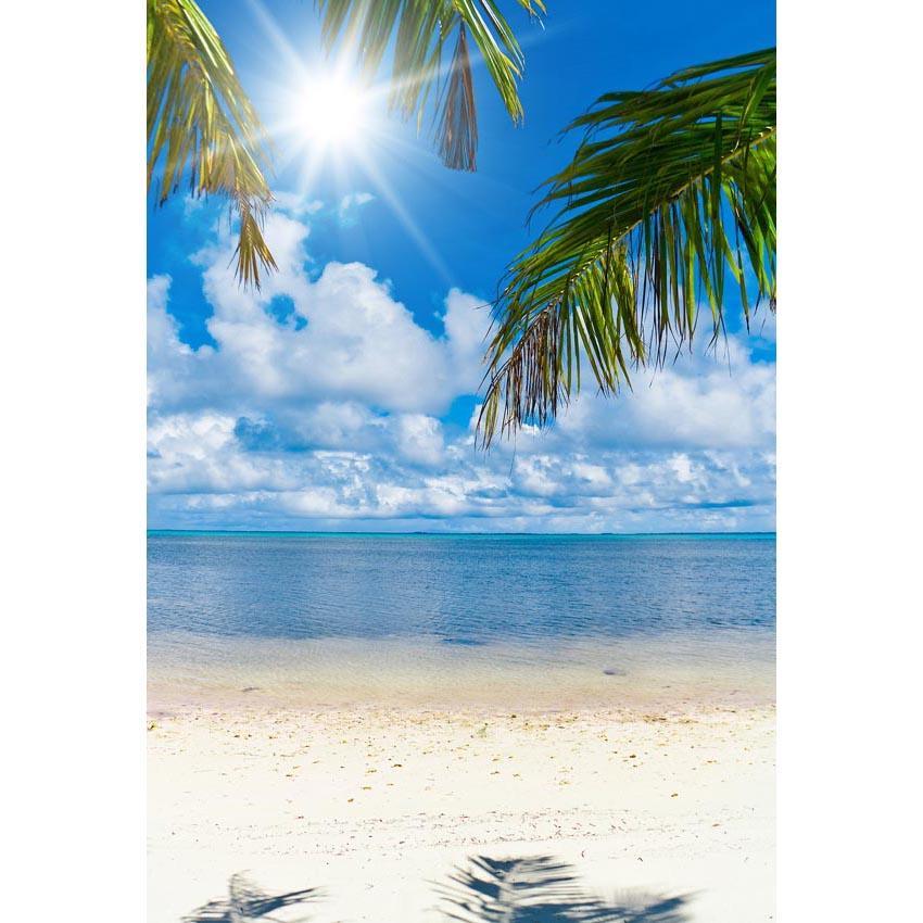 Sandy Beach Ocean Blue Sky Photo Backdrop G-613