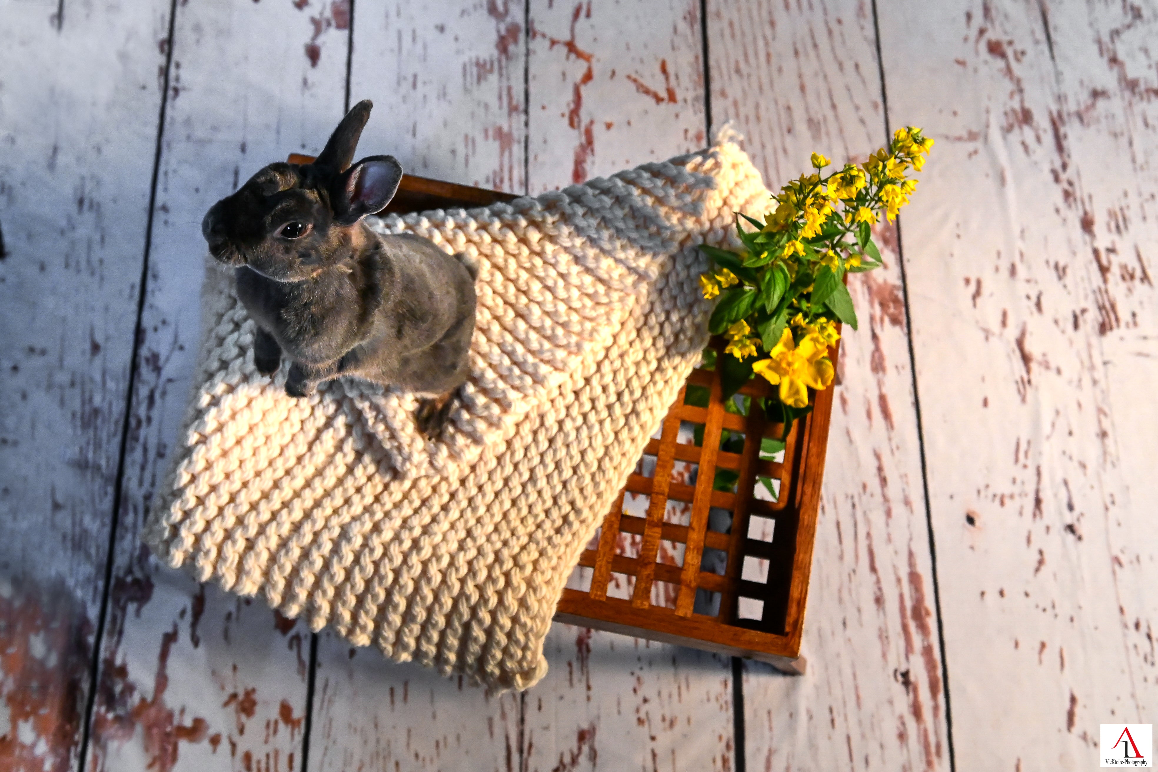 Fond de toile de fond en bois blanc G-772