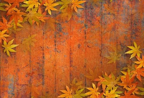 Autumn Fall leaves Wood Backdrop for Photography G-81