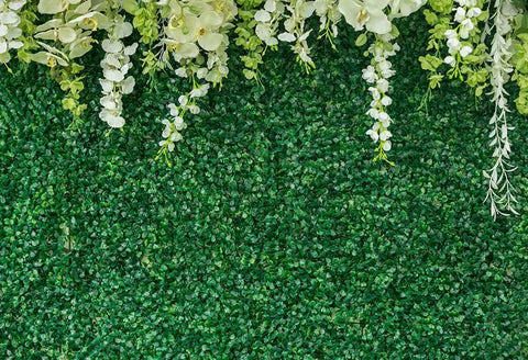 Fond De Mur Floral Fond Vert Pour La Photographie Gx-1034