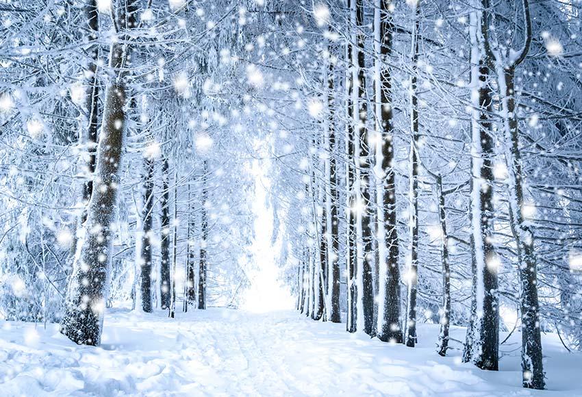 Belles Toiles De Fond De Noël De Scène De Neige De Forêt Blanche Gx-1070