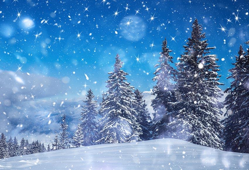Toile De Fond De Beau Ciel Bleu Hiver Neige Arbres De Noël Gx-1076