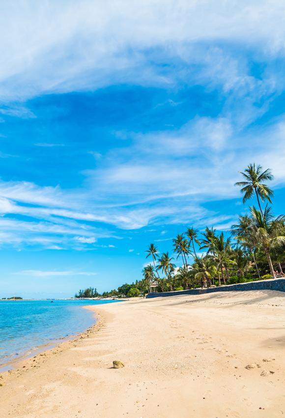 Summer Beach Blue Ocean Sky Studio Backdrop J03151