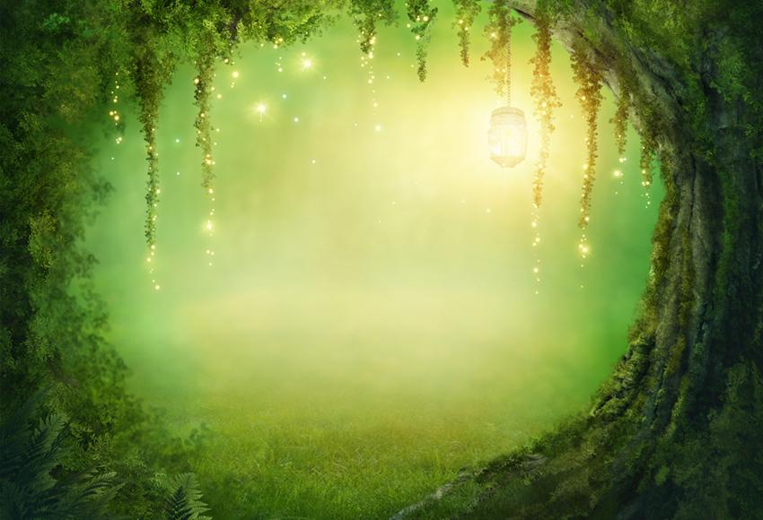 Toile de fond de bébé Toile de fond de conte de fées Fond de grotte mystérieuse J03529