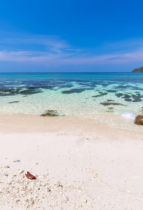 Toile de fond de saison Toile de fond d'été Toile de fond de vagues J05360